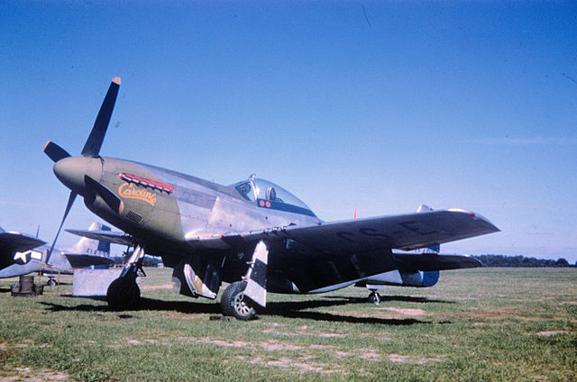 359th Fighter Group P 51D Mustang 44 13893
