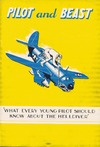 Pilot and Beast - What every young pilot should know about the Helldiver
